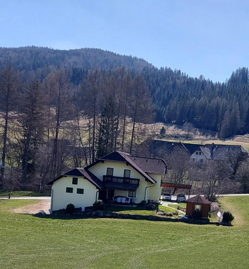 Greimblick Apartamento Sankt Peter am Kammersberg Exterior foto