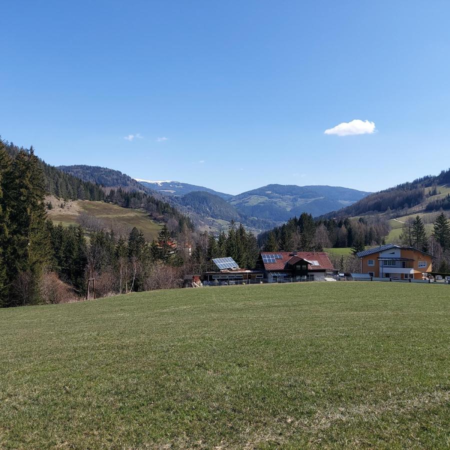 Greimblick Apartamento Sankt Peter am Kammersberg Exterior foto